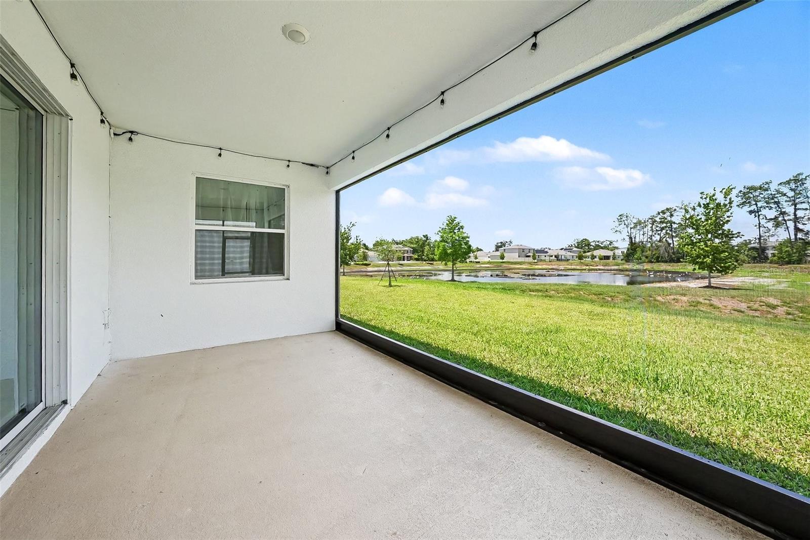23231 SCAGLIONE DR — photo 34