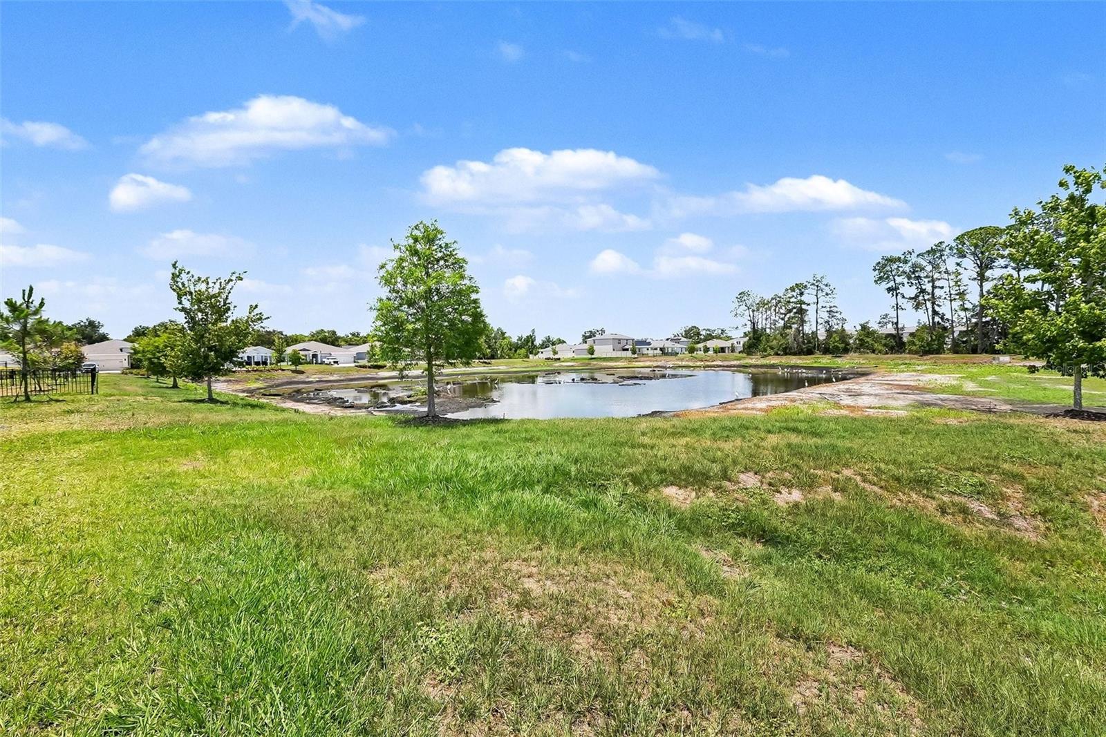 23231 SCAGLIONE DR — photo 35
