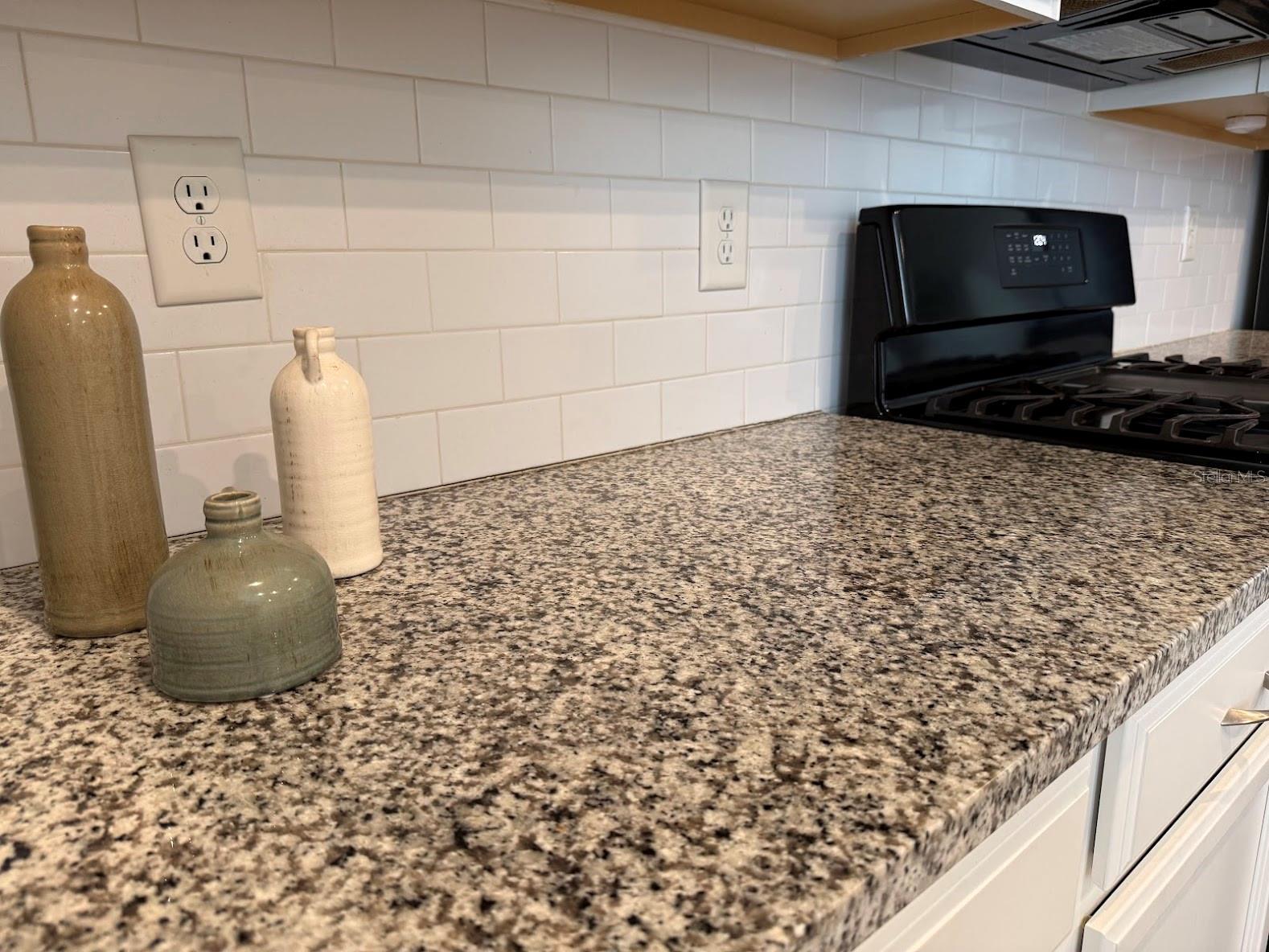15084 CARAVAN AVE — photo 7