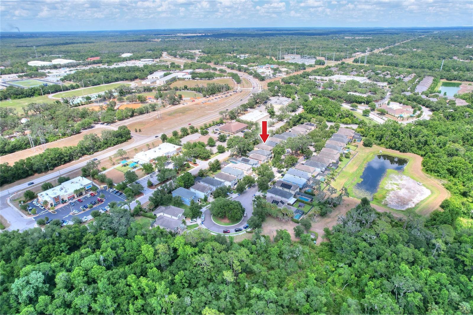 16302 BAYBERRY VIEW DR — photo 68