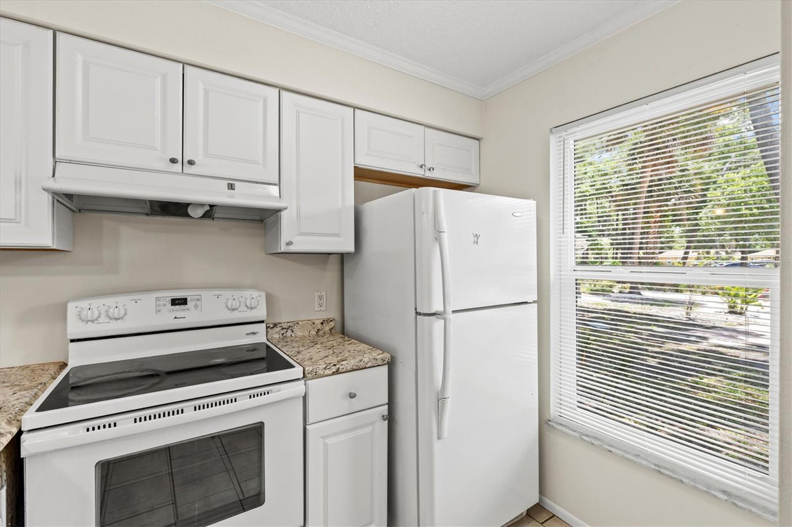 4631 SUMMERWIND DR #16 — photo 8