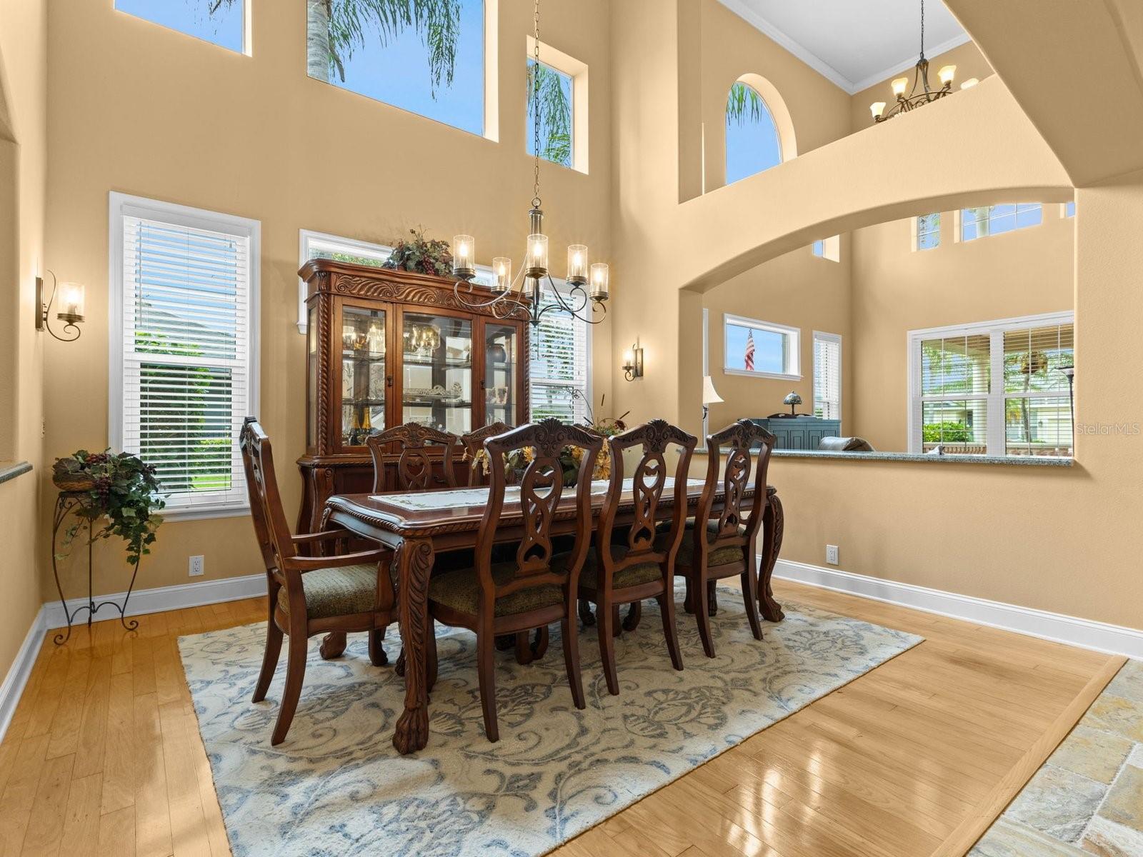 21019 MARSH HAWK DR — photo 22