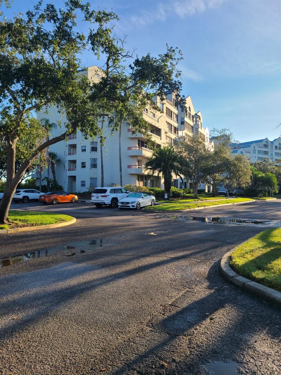 2333 FEATHER SOUND DR #A208 — photo 6