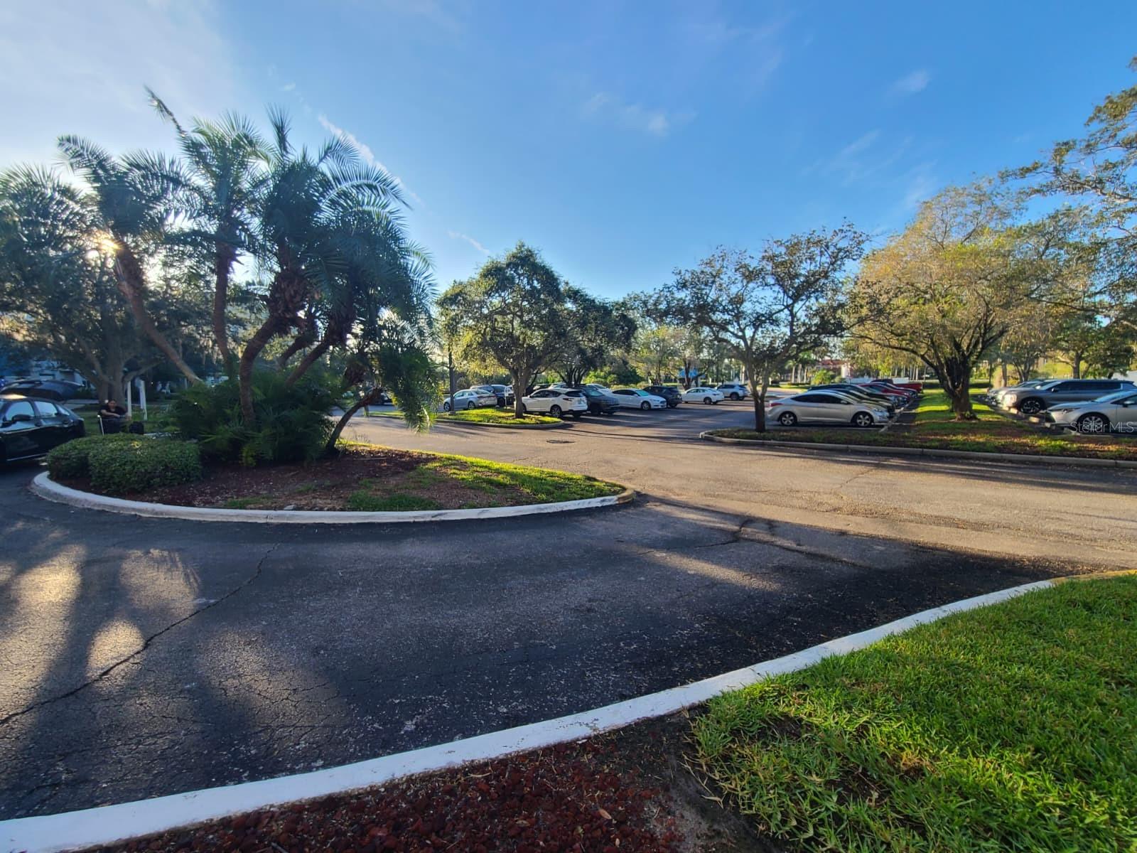 2333 FEATHER SOUND DR #A208 — photo 5