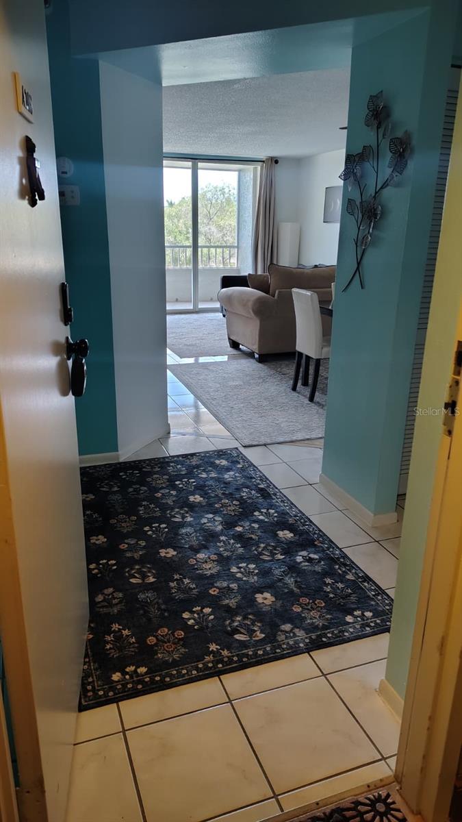 2333 FEATHER SOUND DR #A208 — photo 18
