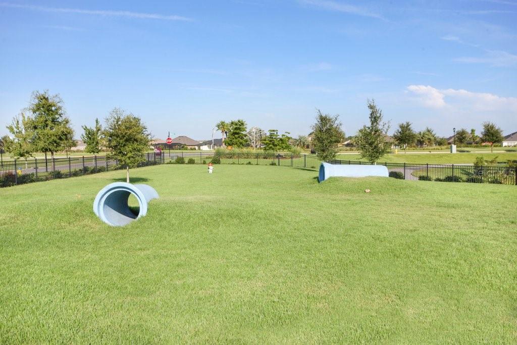 6321 CAMINO DR — photo 40