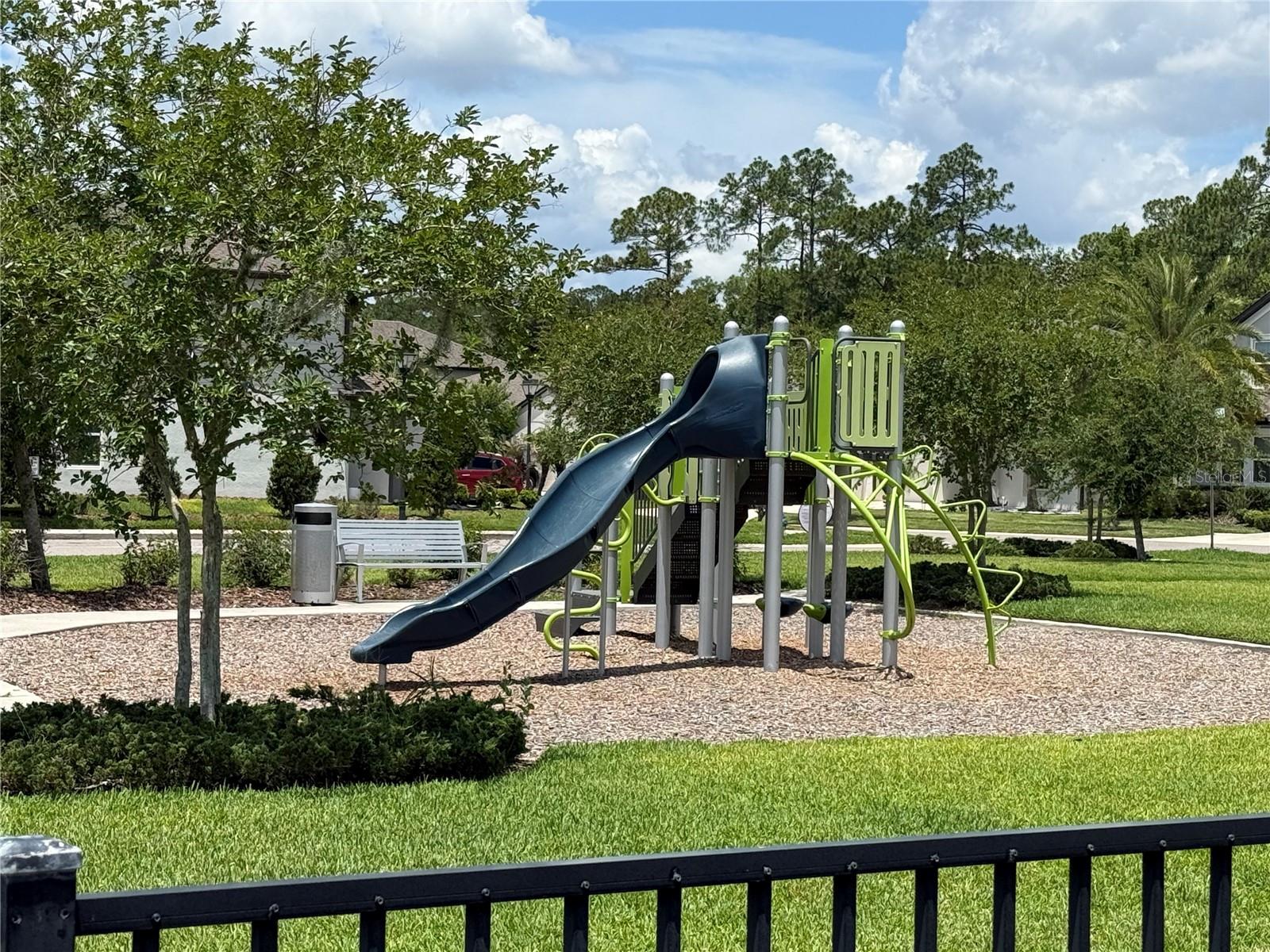 30596 THUNDERBIRD DR — photo 20