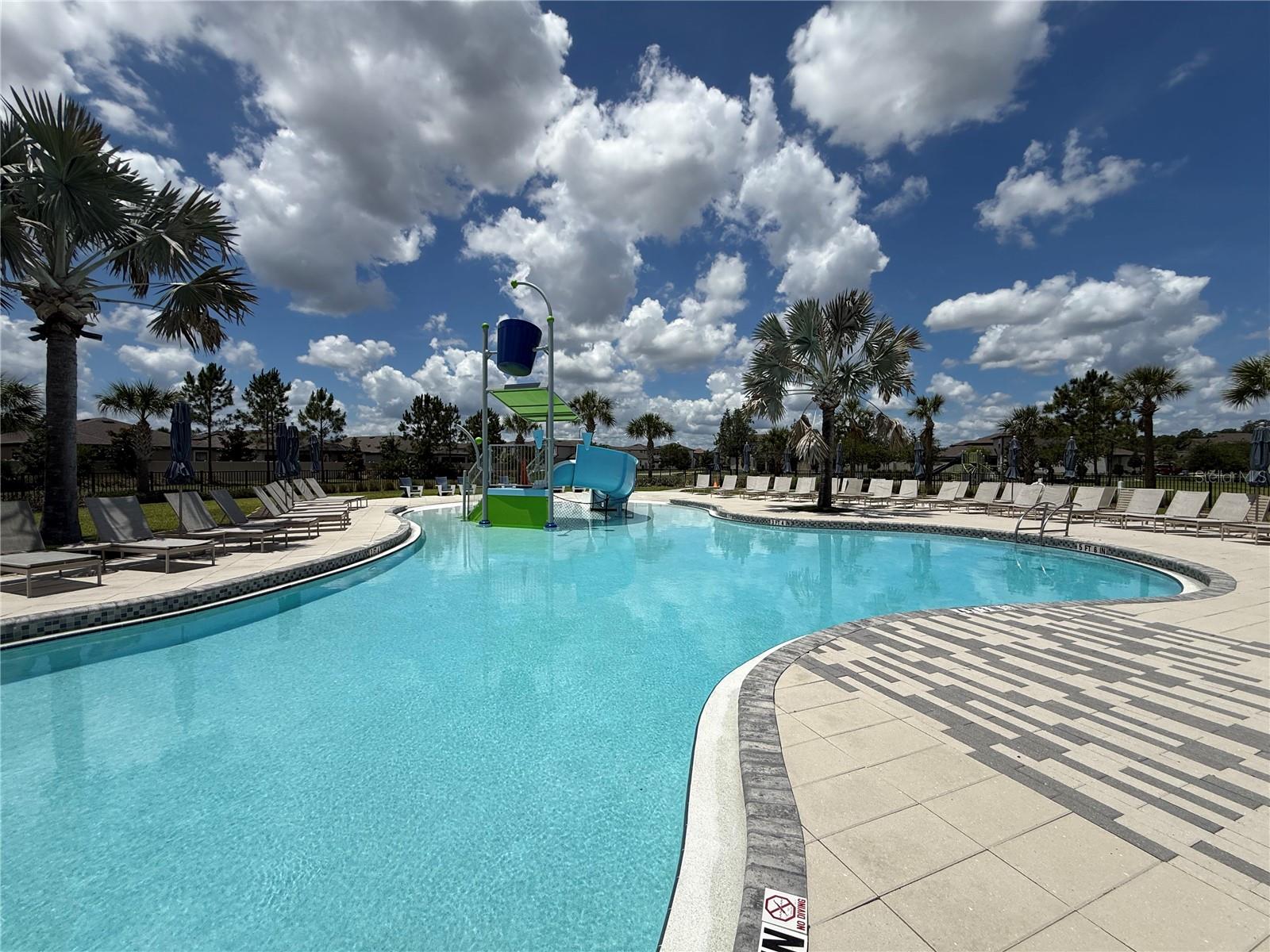 30596 THUNDERBIRD DR — photo 23