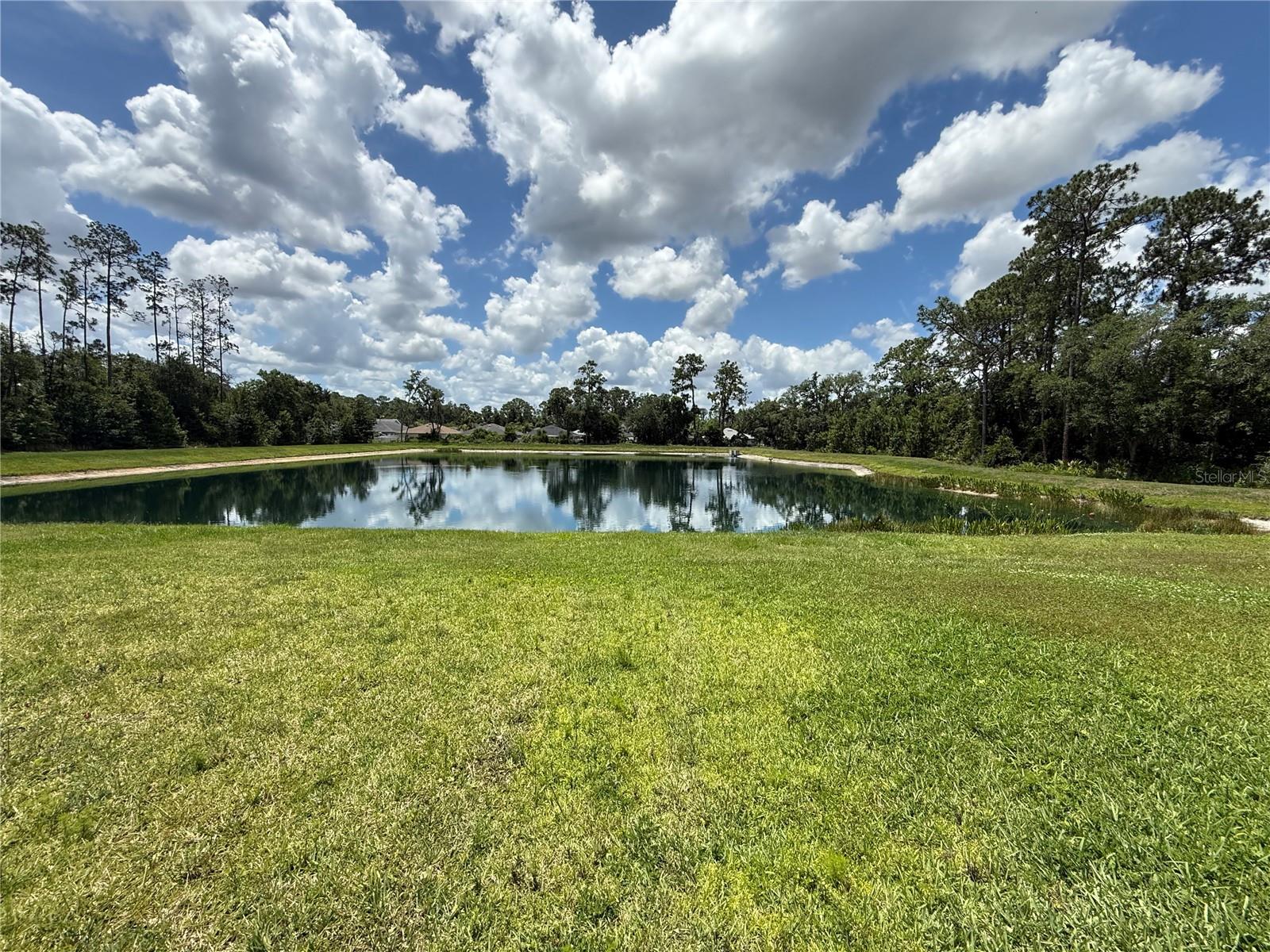 30596 THUNDERBIRD DR — photo 6