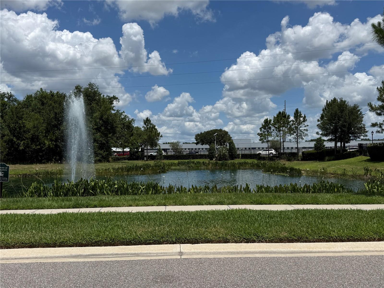 30596 THUNDERBIRD DR — photo 28
