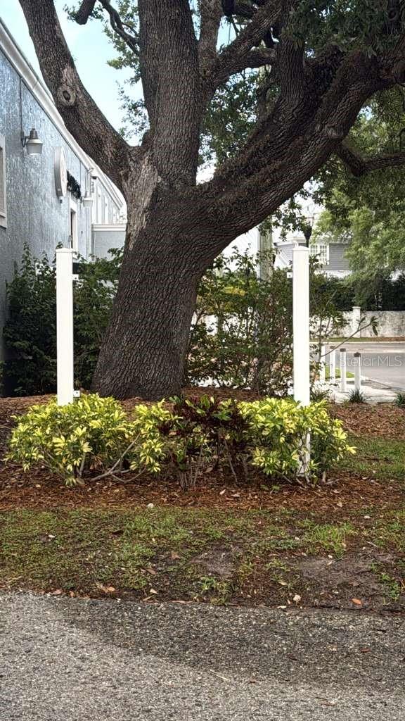 608 S TAMPANIA AVE — photo 42
