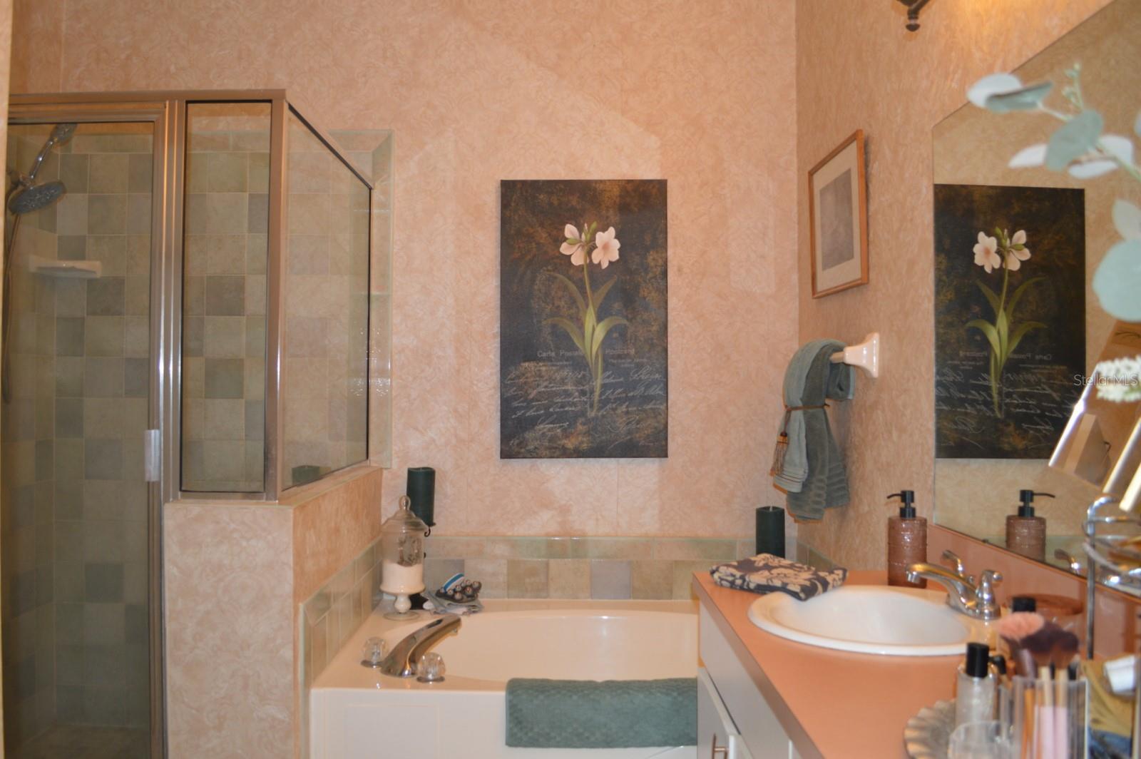30114 EMMETTS CT — photo 13