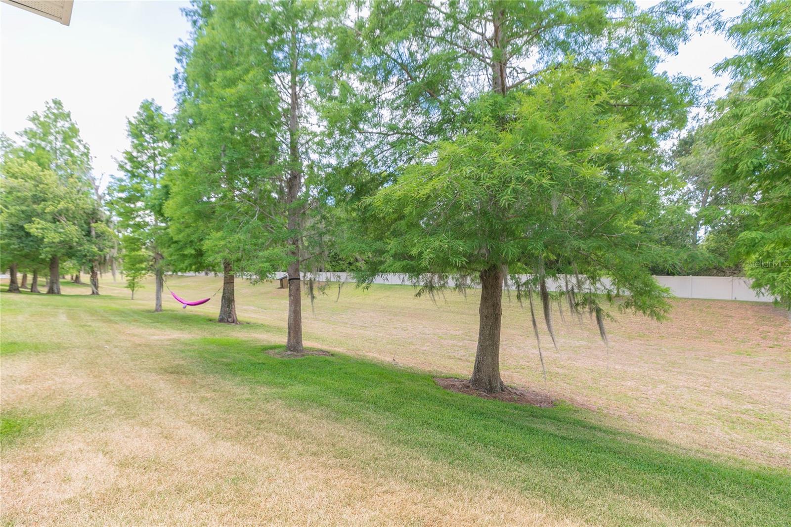 3152 ROYAL TUSCAN LN — photo 40