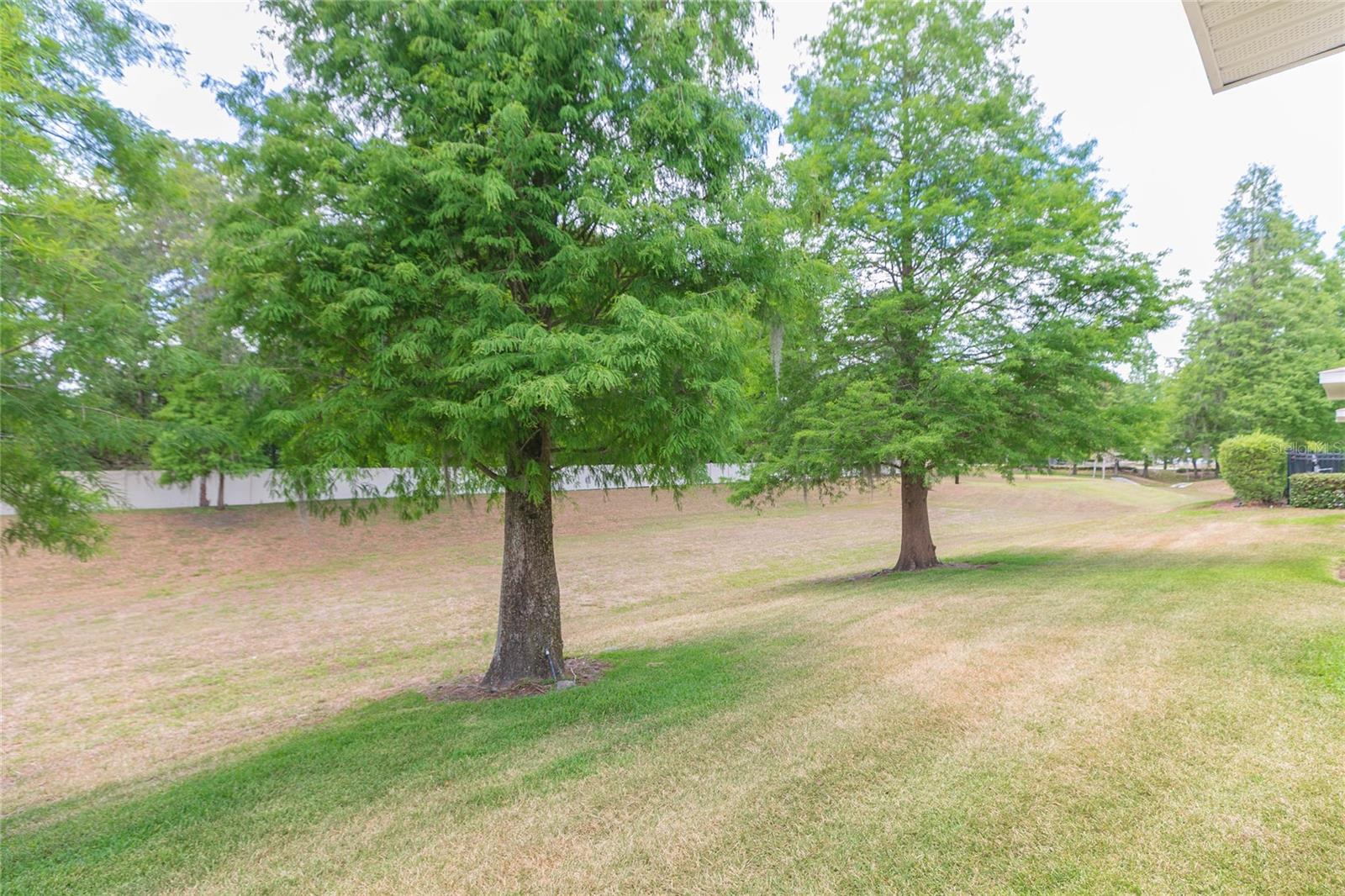 3152 ROYAL TUSCAN LN — photo 41