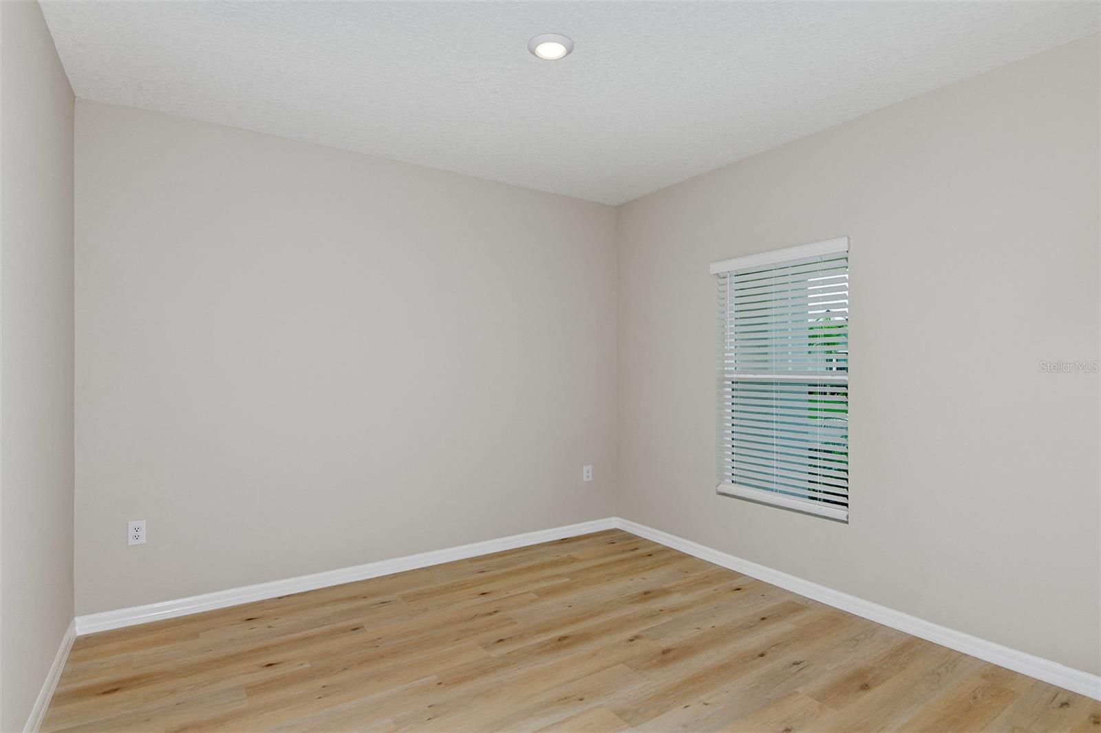 31670 BARONNE ST — photo 24