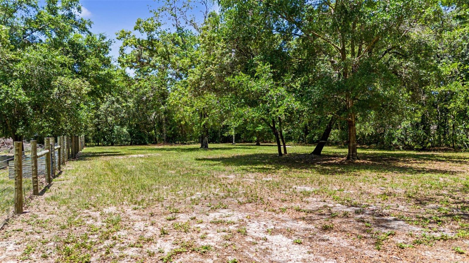10933 PINTO DR — photo 57