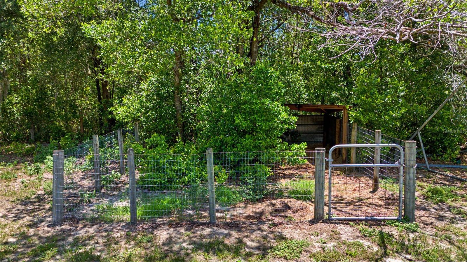10933 PINTO DR — photo 56