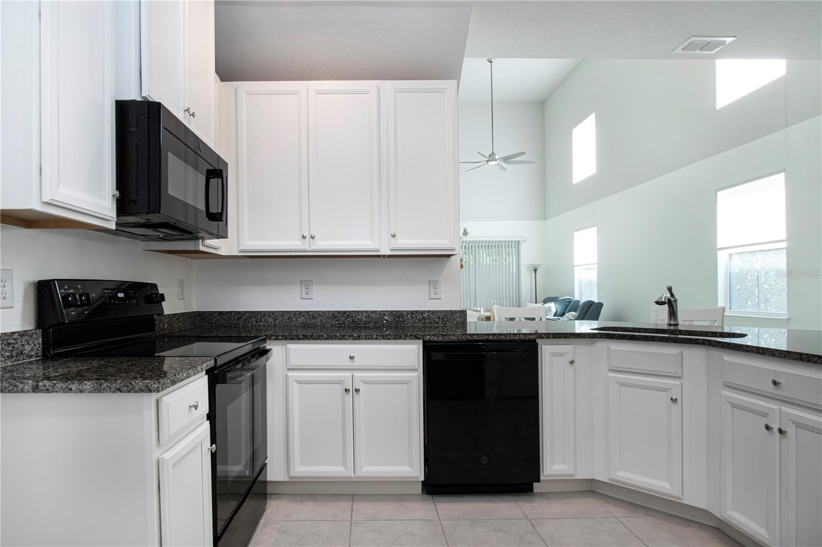 2120 LACEFLOWER DR — photo 27