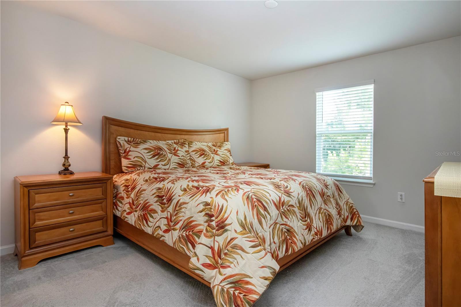 2120 LACEFLOWER DR — photo 49