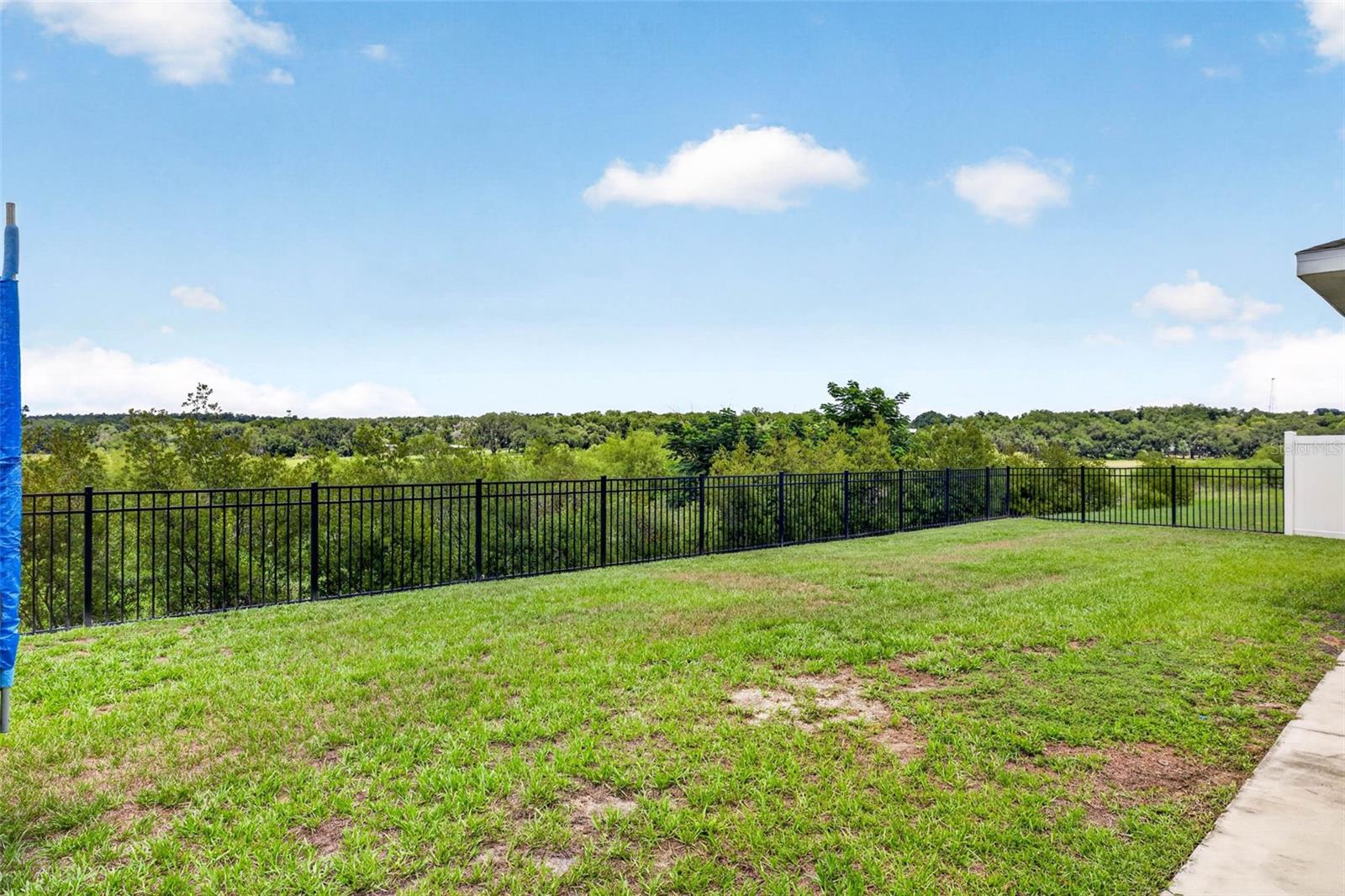 13793 WINEBERRY DR — photo 54