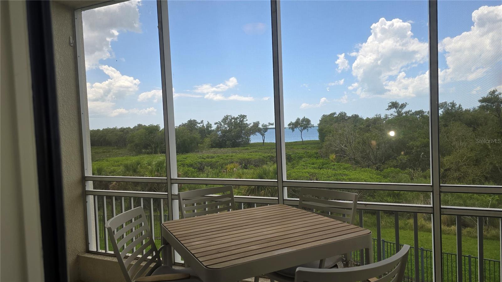 2925 TERRA CEIA BAY BLVD #2203 — photo 33