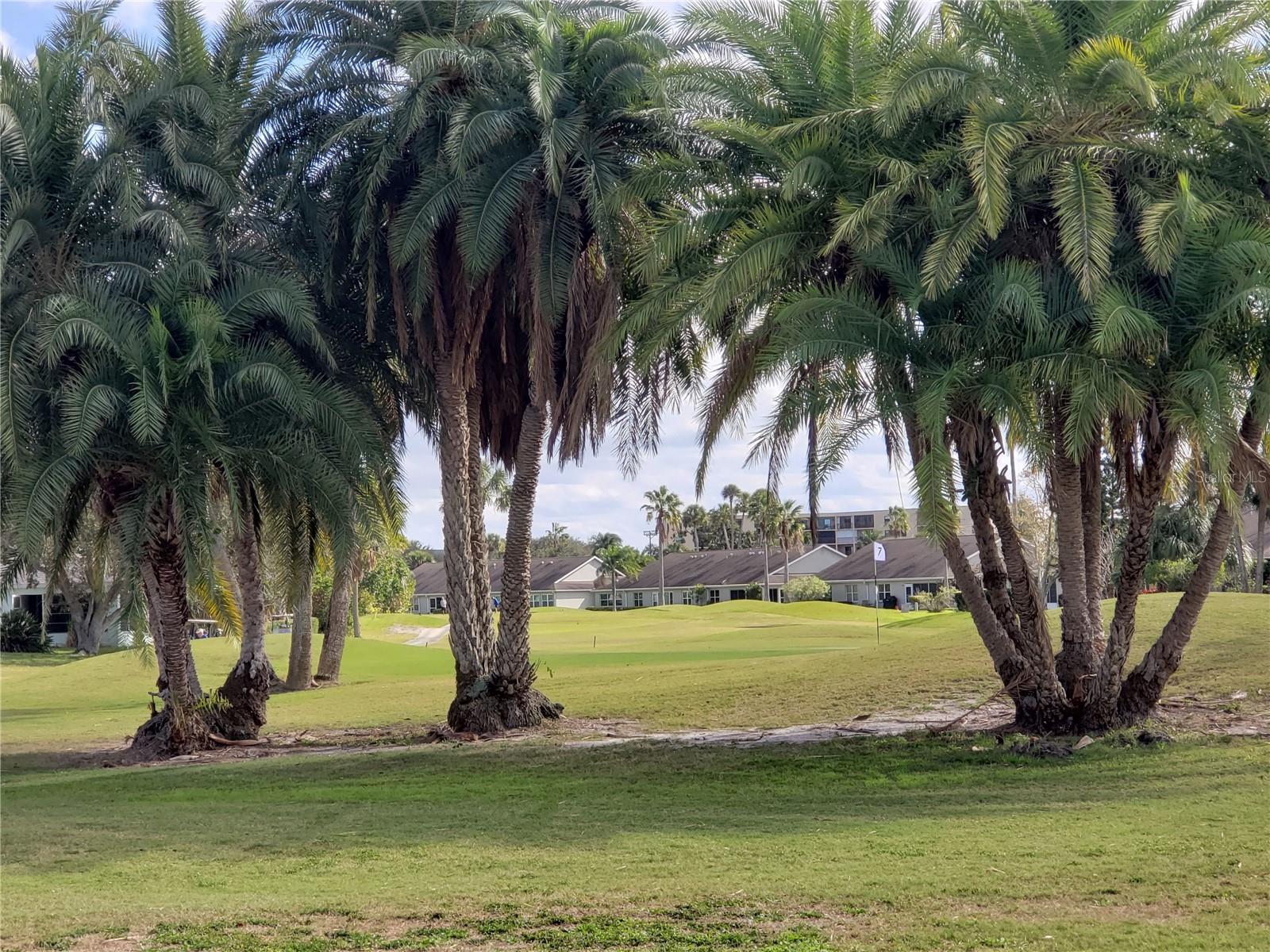 2925 TERRA CEIA BAY BLVD #2203 — photo 40