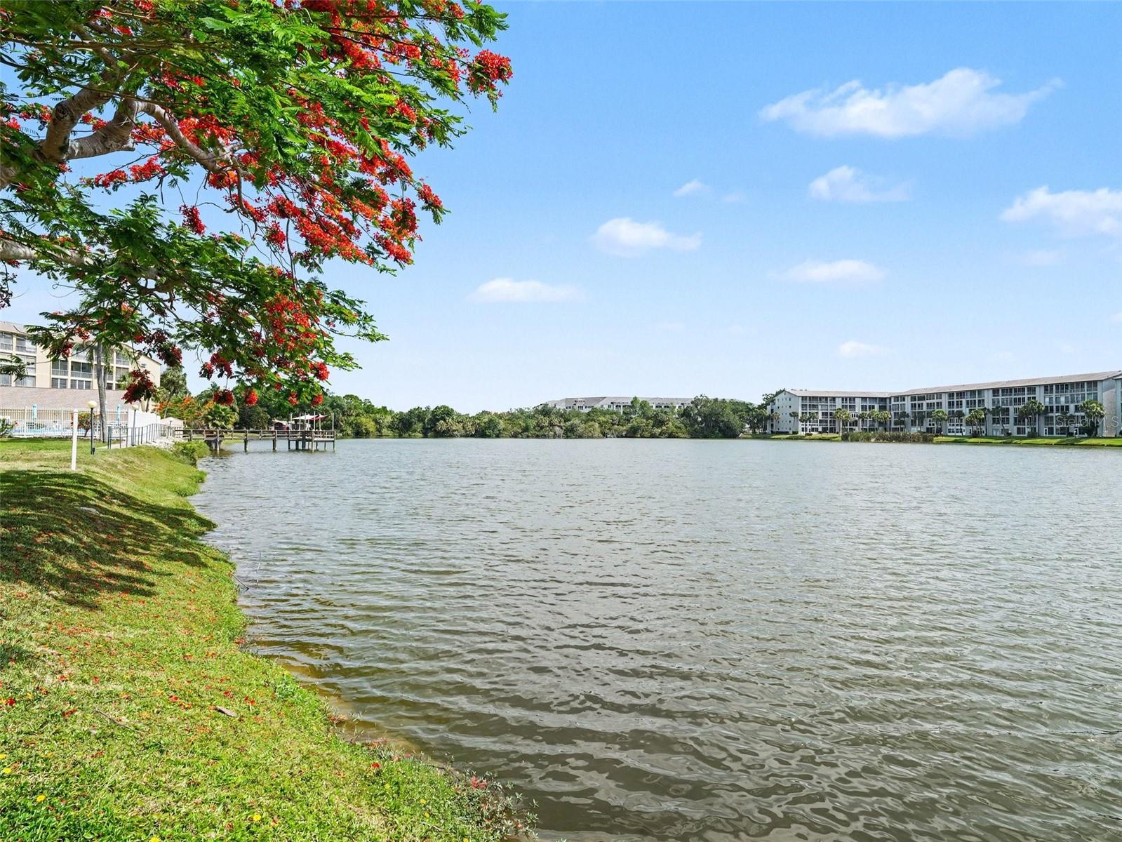 3801 LAKE BAYSHORE DR #H413 — photo 30