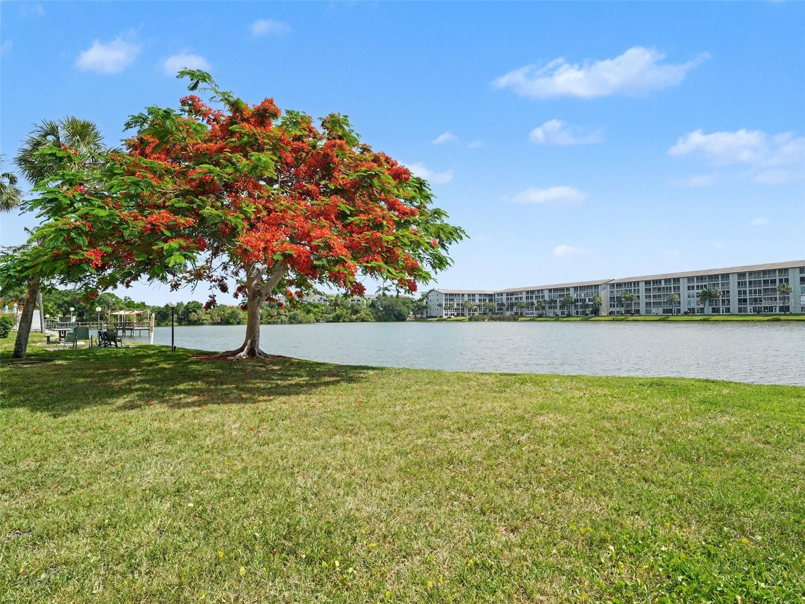 3801 LAKE BAYSHORE DR #H413 — photo 29