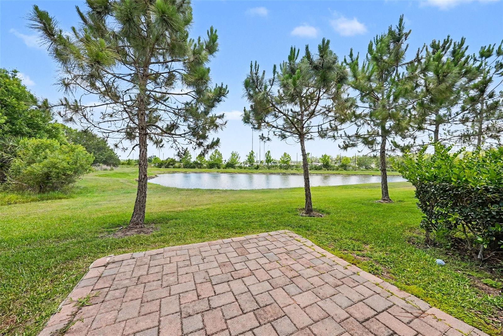 28504 TRANQUIL LAKE CIR — photo 3