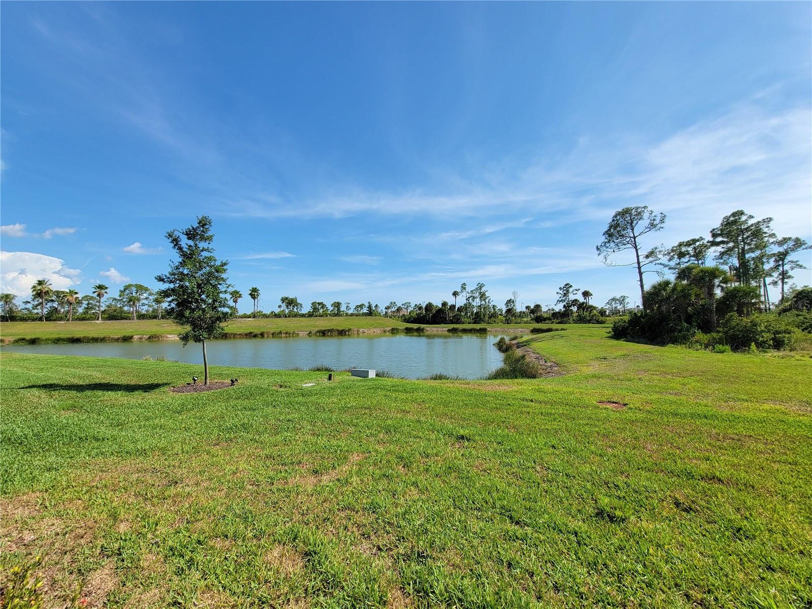 11177 PINOT DR — photo 37