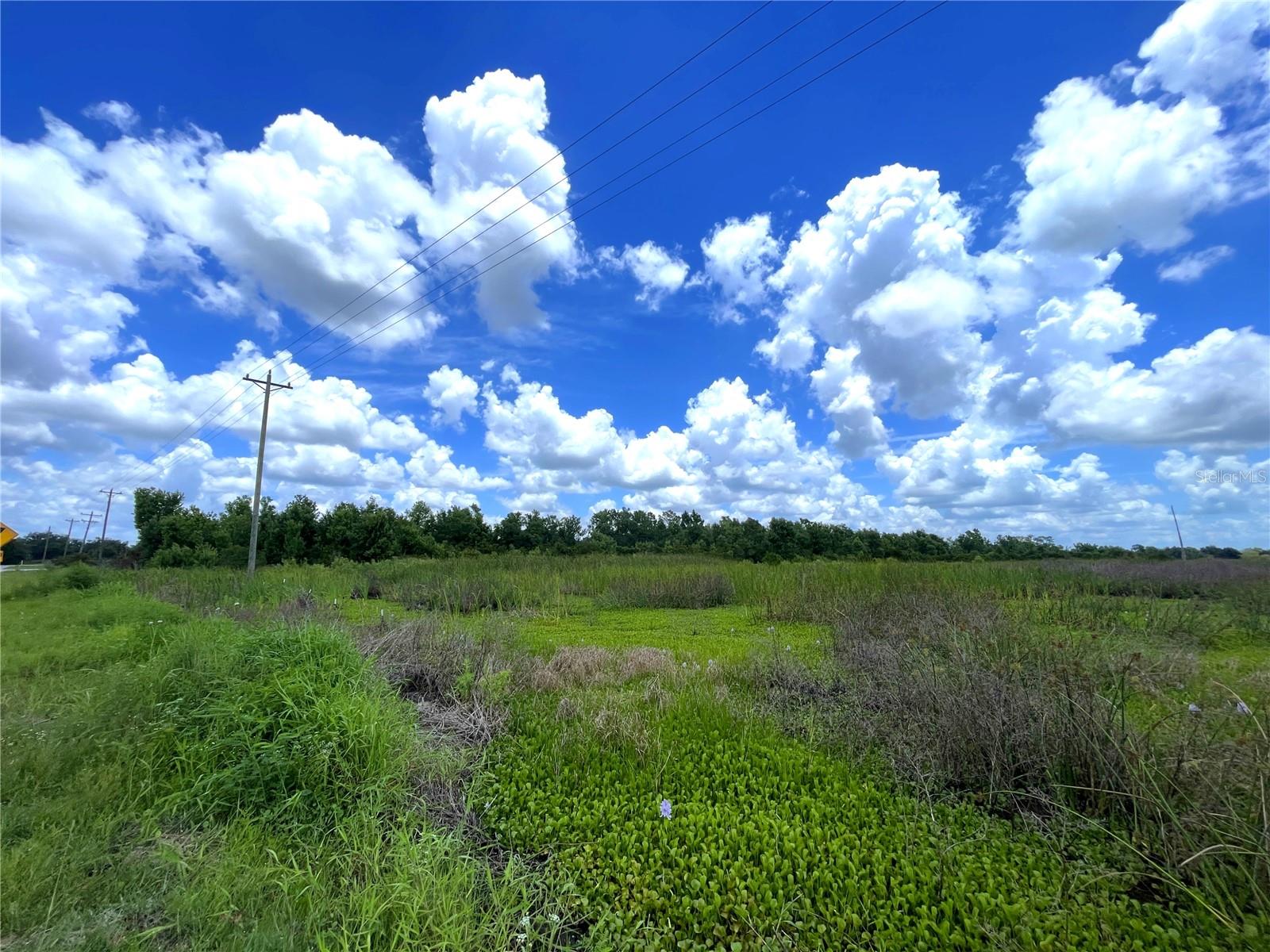 WAUCHULA RD — photo 5