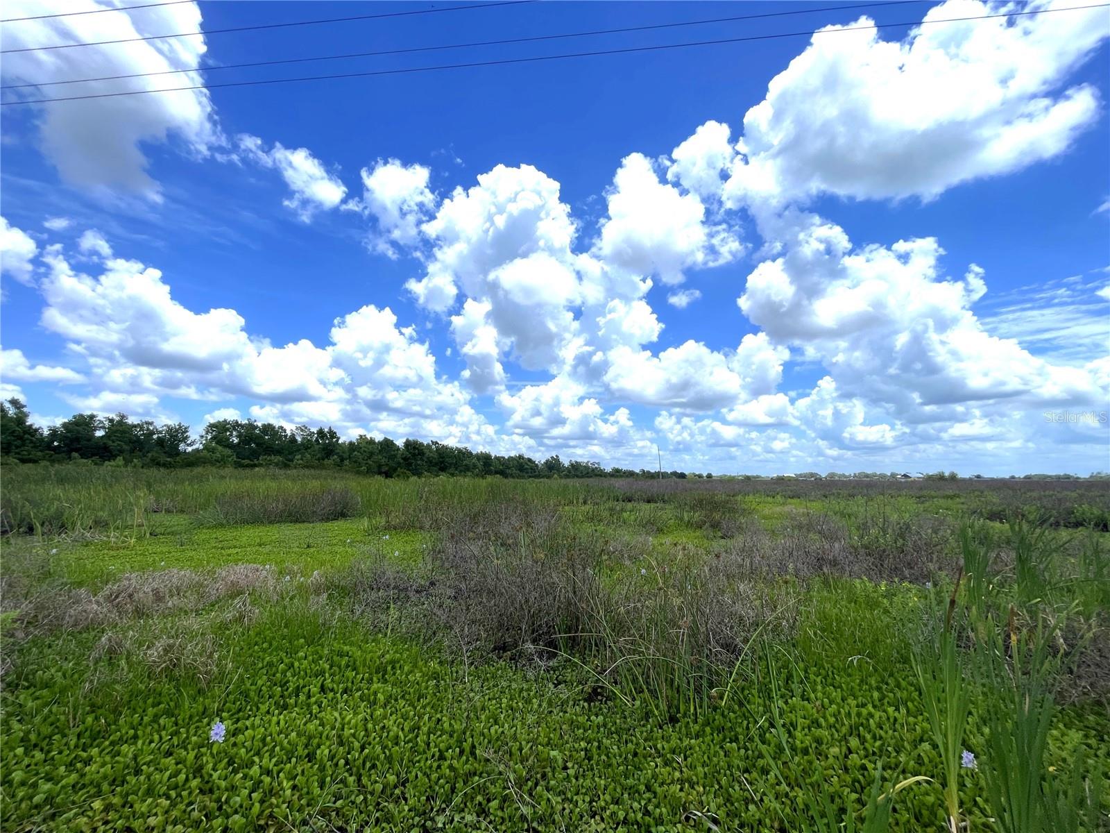 WAUCHULA RD — photo 6
