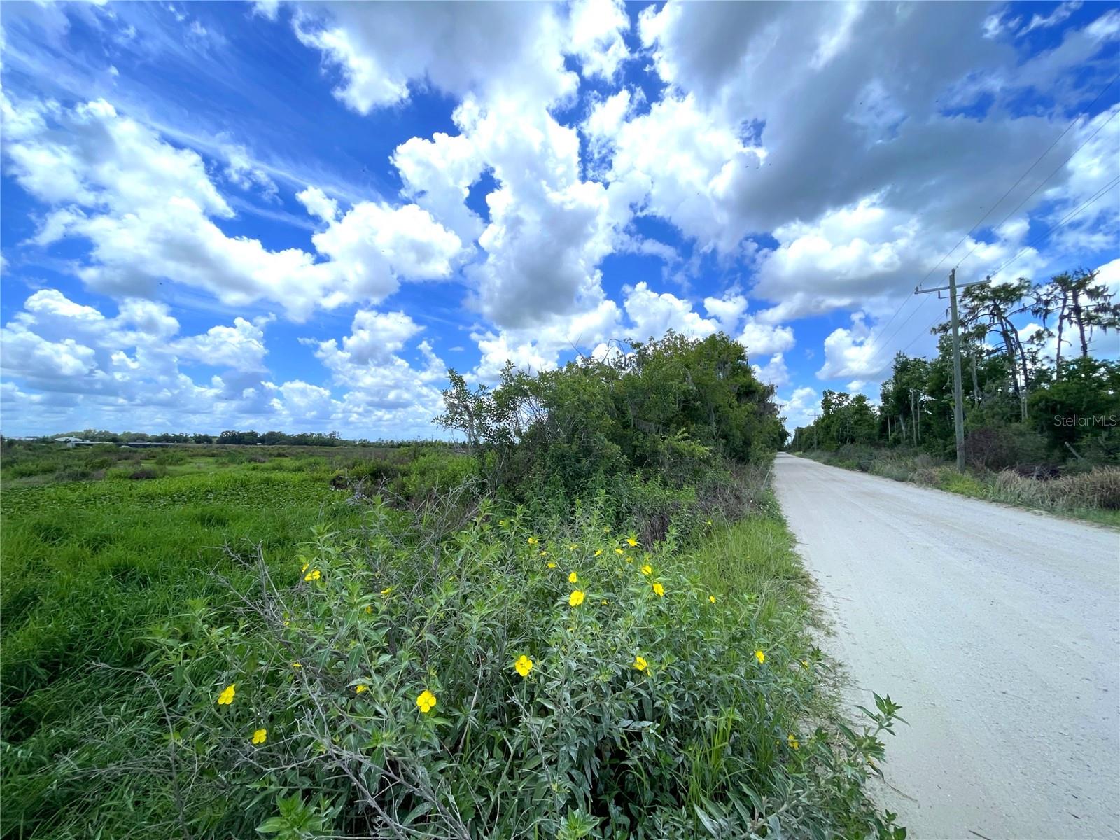 WAUCHULA RD — photo 4
