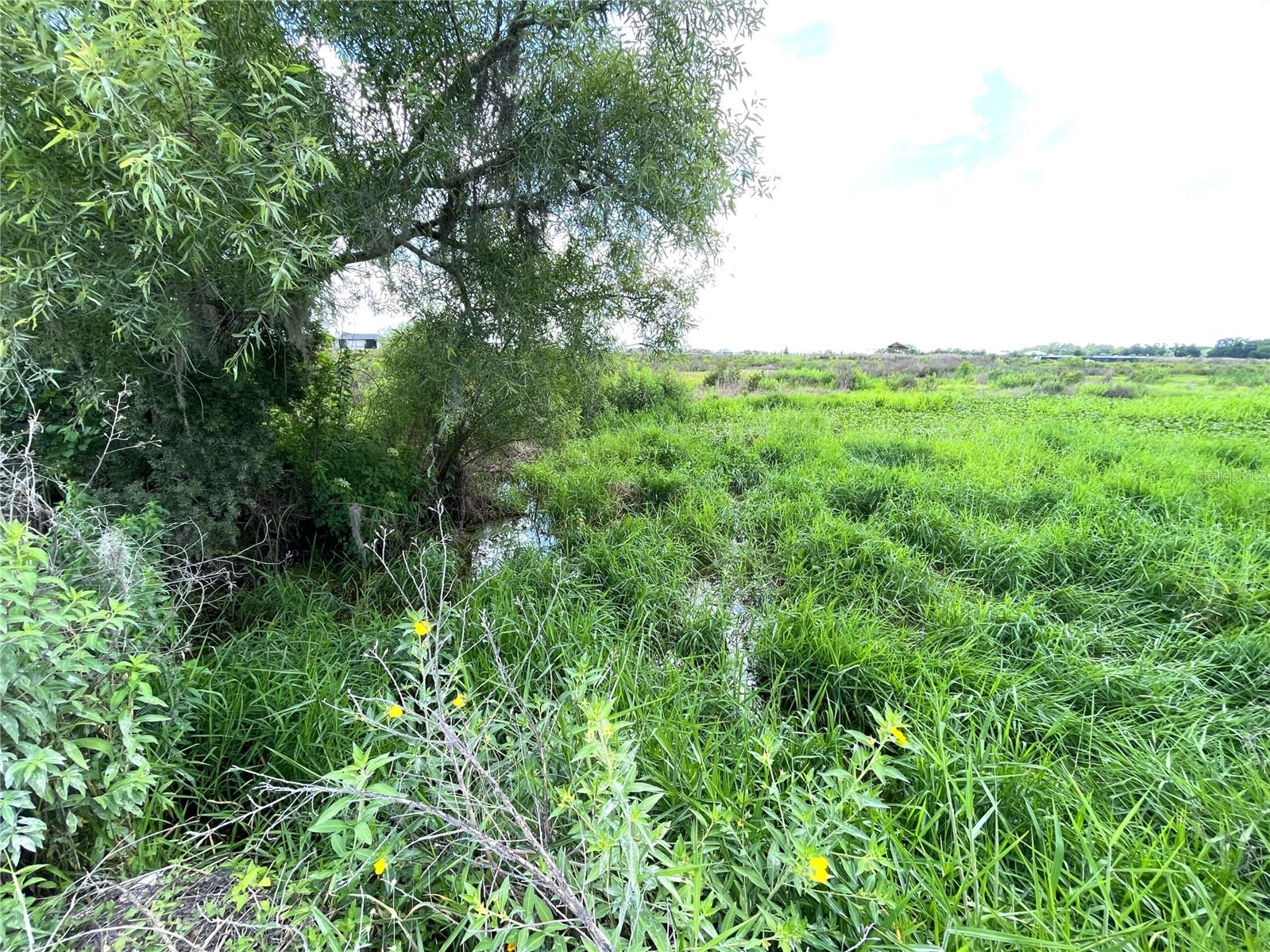 WAUCHULA RD — photo 2