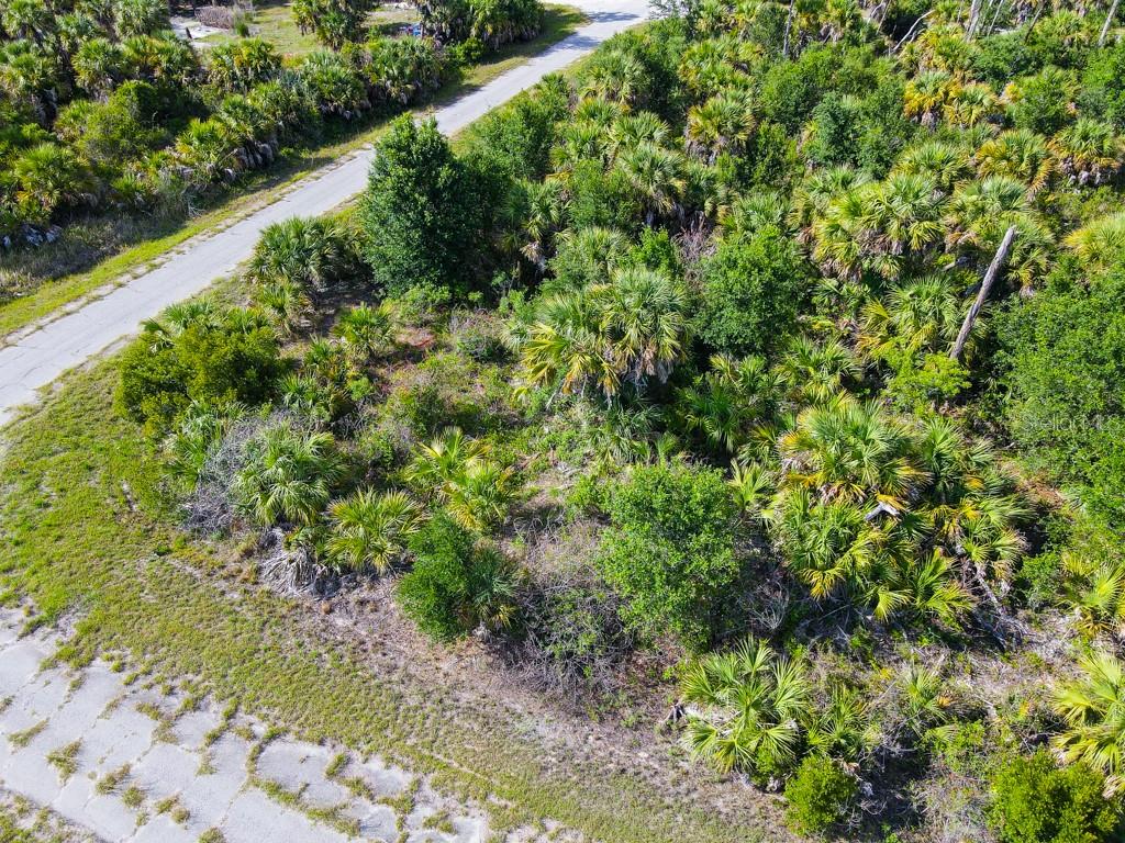 FIREBIRD RD — photo 10