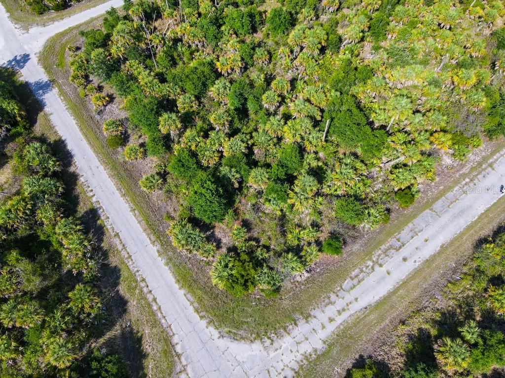FIREBIRD RD — photo 6