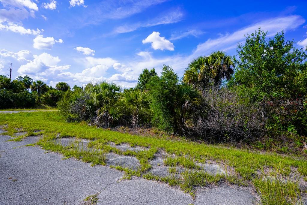 FIREBIRD RD — photo 12
