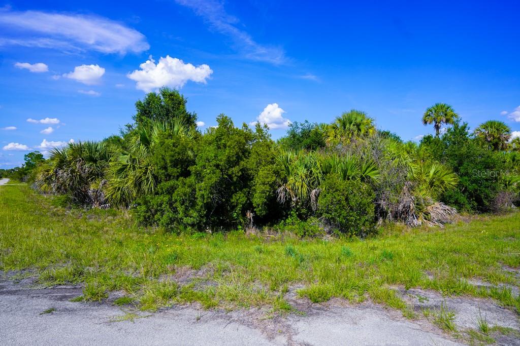 FIREBIRD RD — photo 18