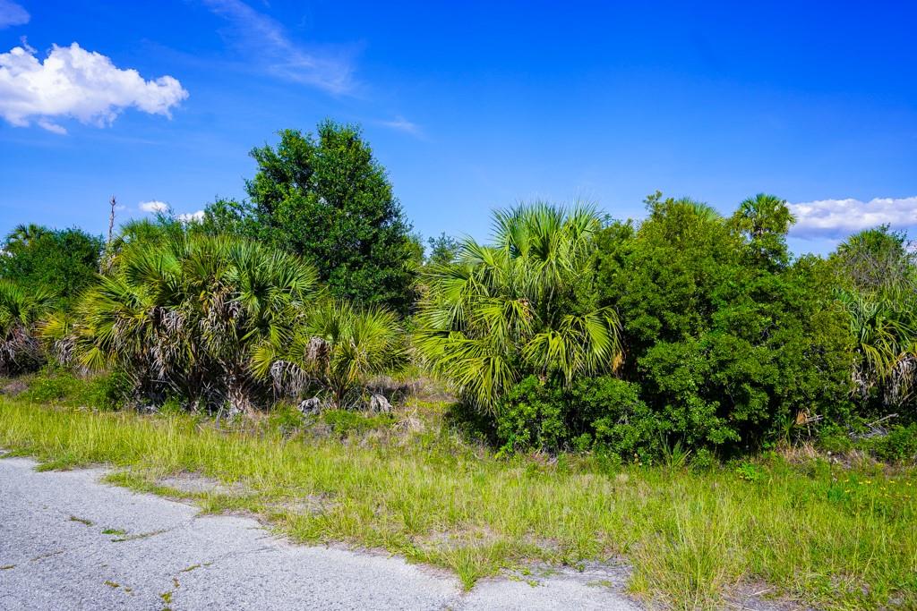 FIREBIRD RD — photo 19