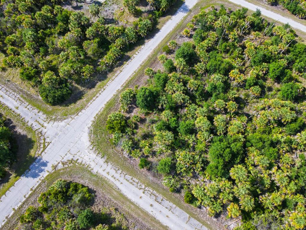 FIREBIRD RD — photo 8