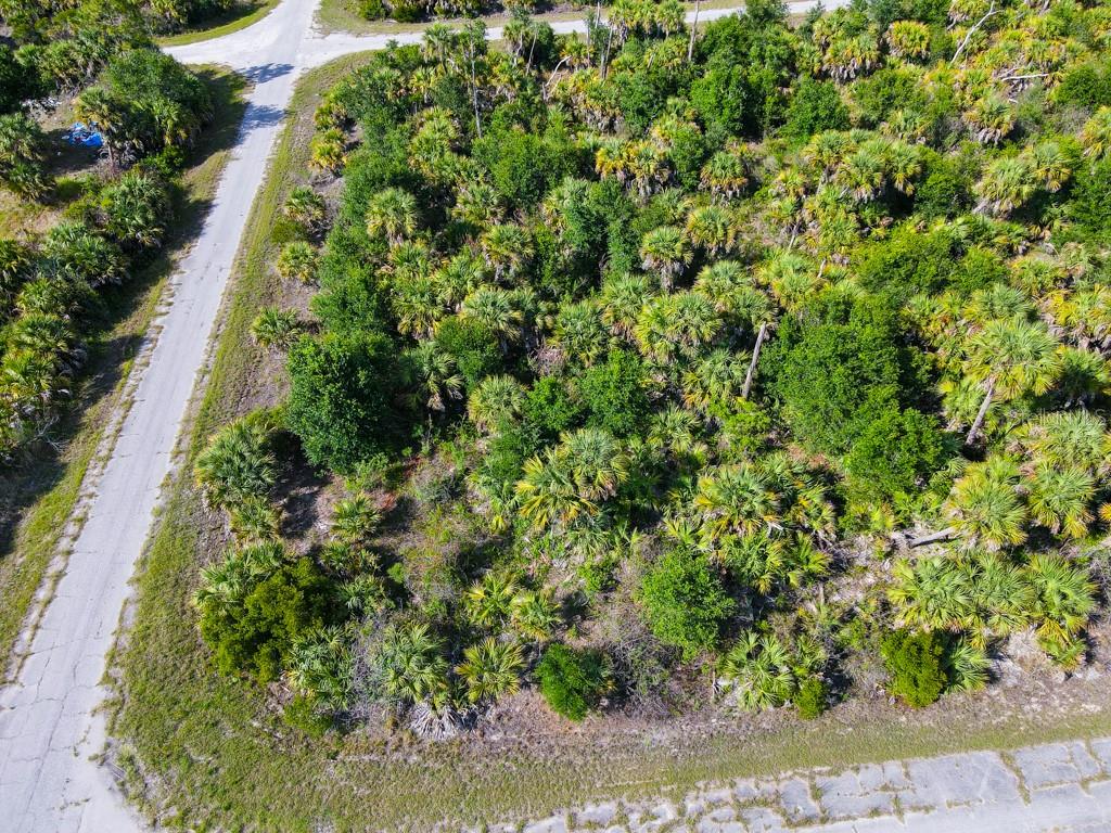 FIREBIRD RD — photo 4