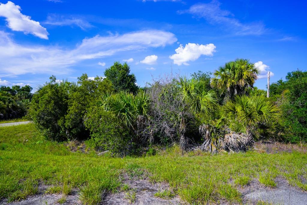 FIREBIRD RD — photo 16
