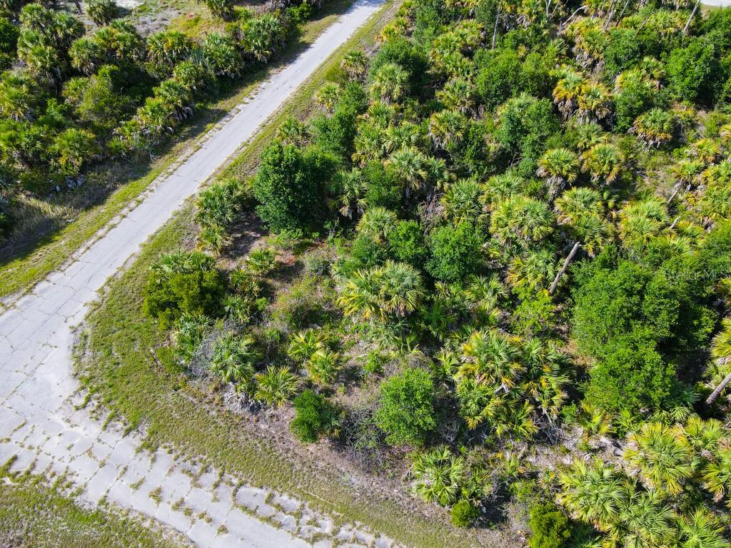 FIREBIRD RD — photo 9