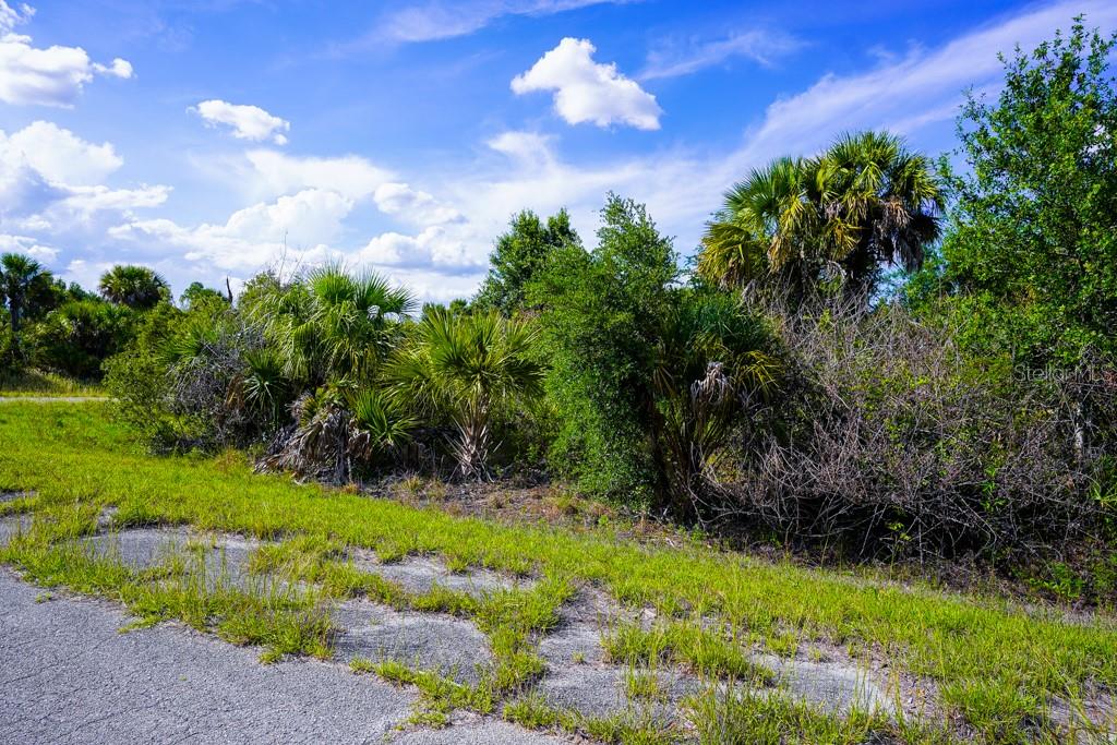 FIREBIRD RD — photo 13