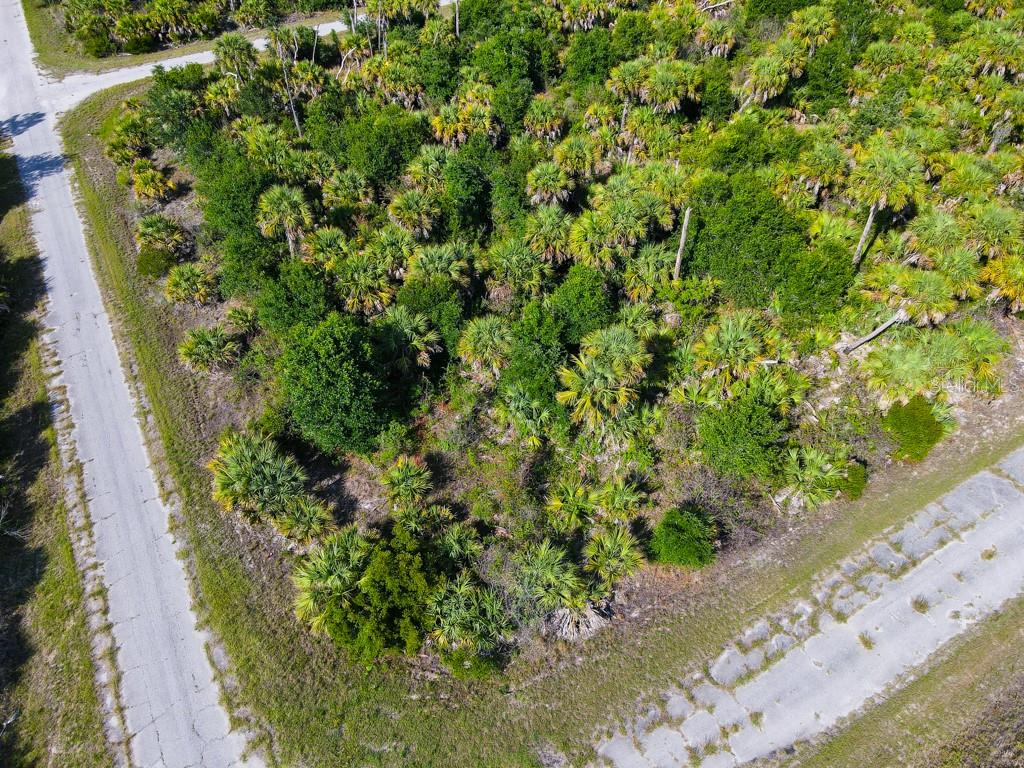 FIREBIRD RD — photo 5