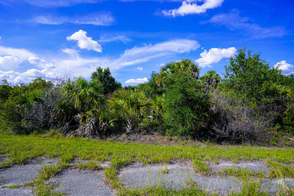 FIREBIRD RD — photo 14