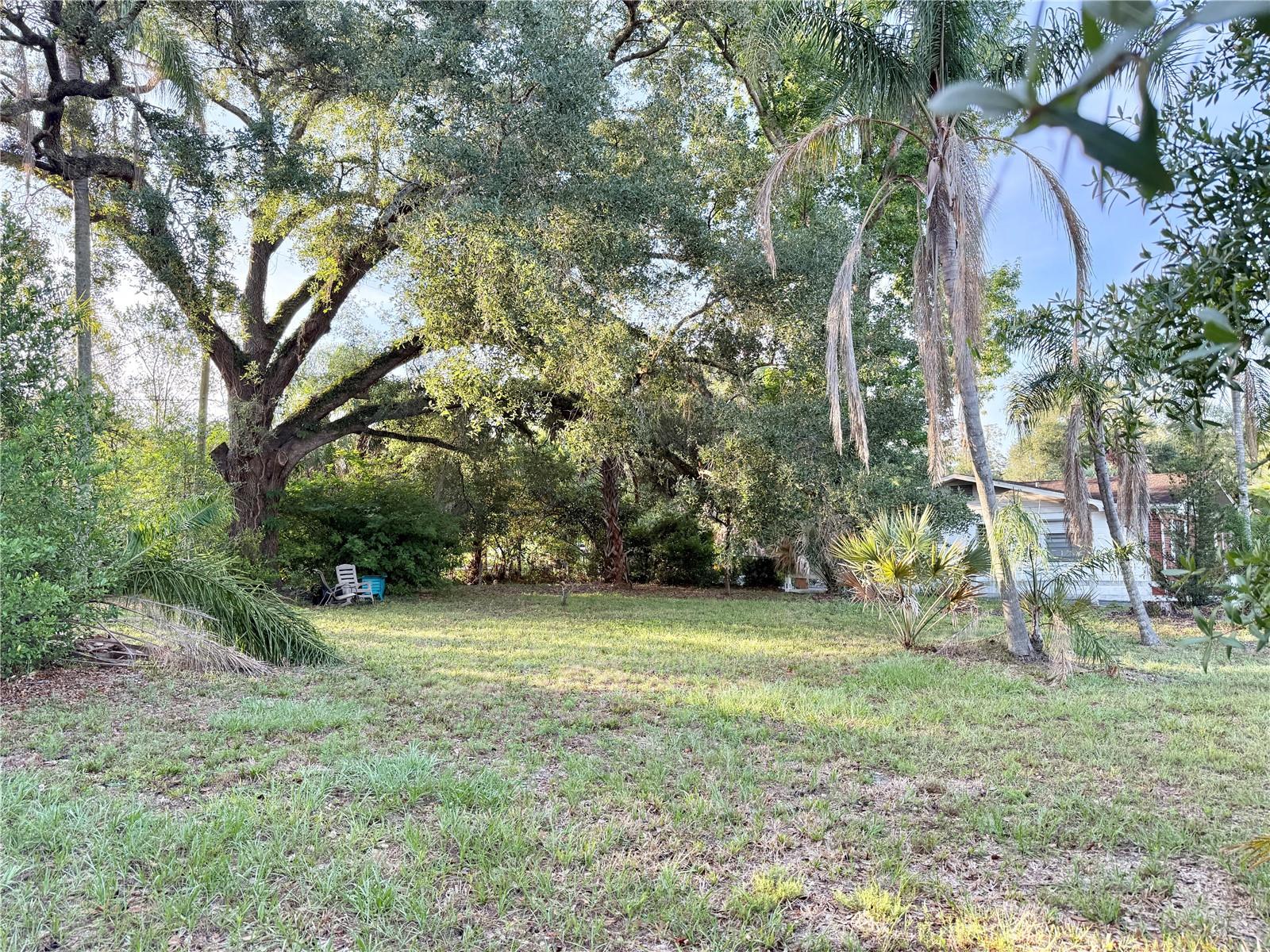 304 SPRINGDALE PLACE — photo 6