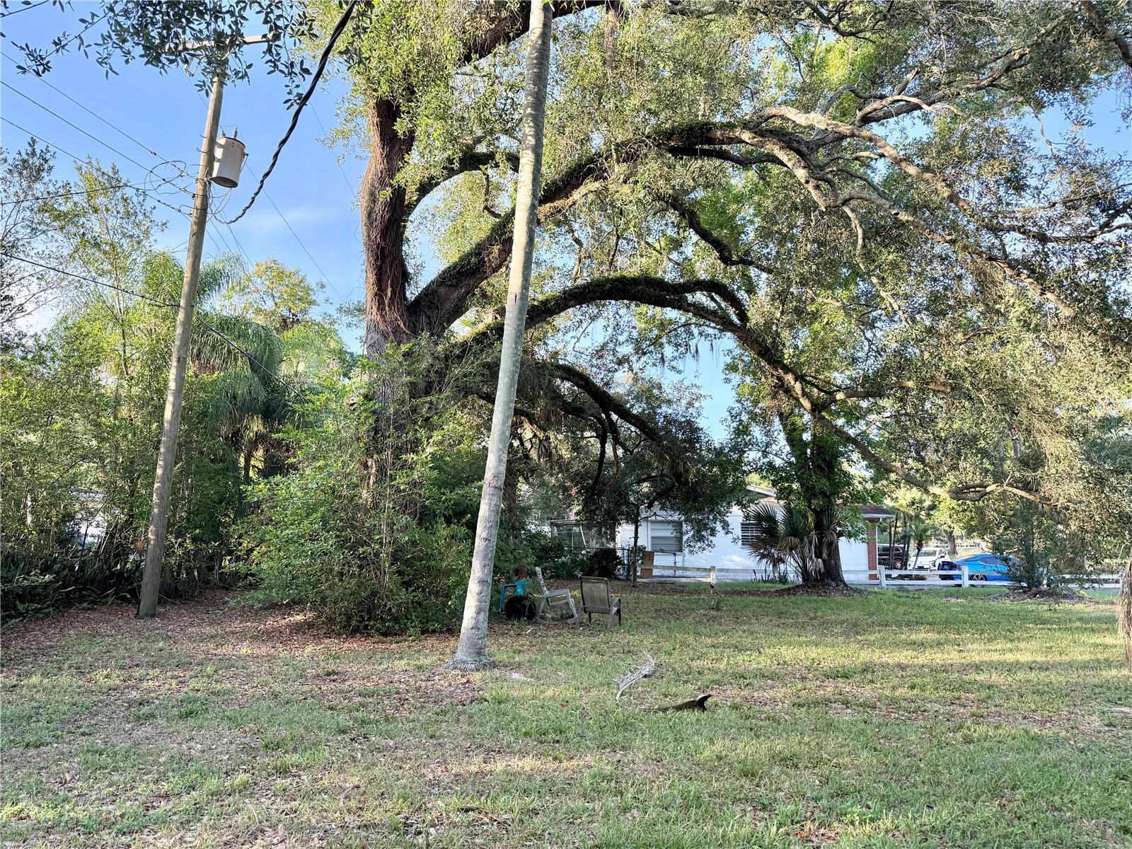 304 SPRINGDALE PLACE — photo 5