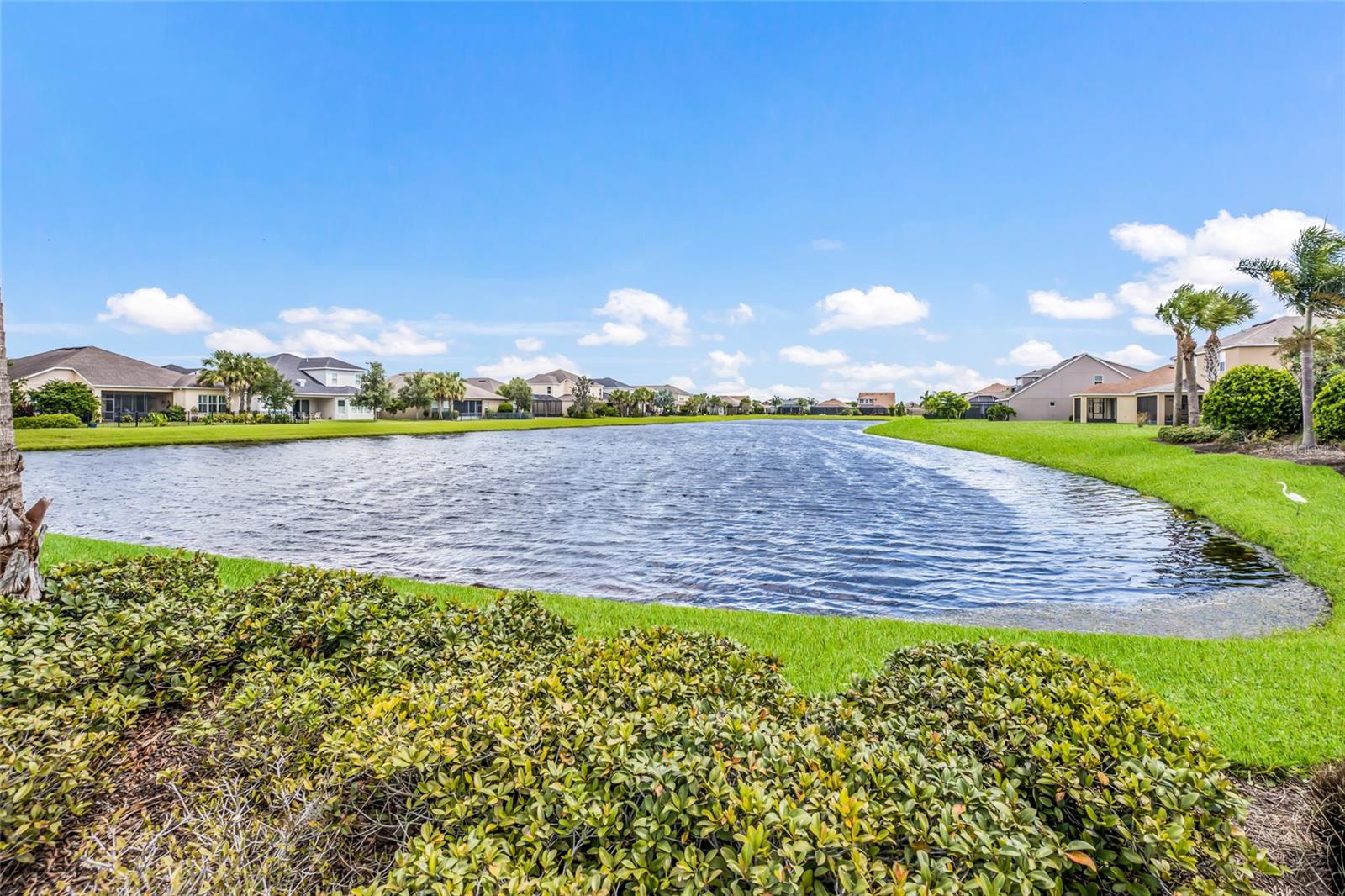 5815 ARBOR WOOD CT — photo 61
