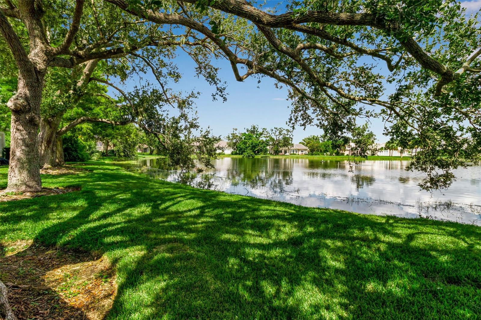 101 OSPREY POINT DR — photo 57